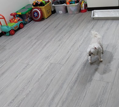 台中地板保養